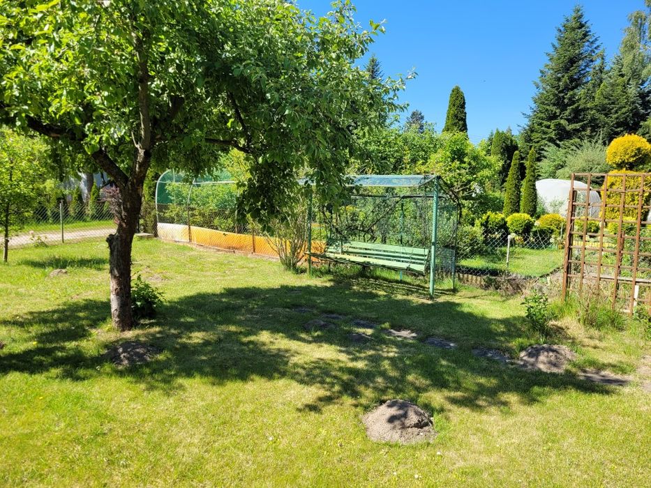 Działka ROD do kupienia