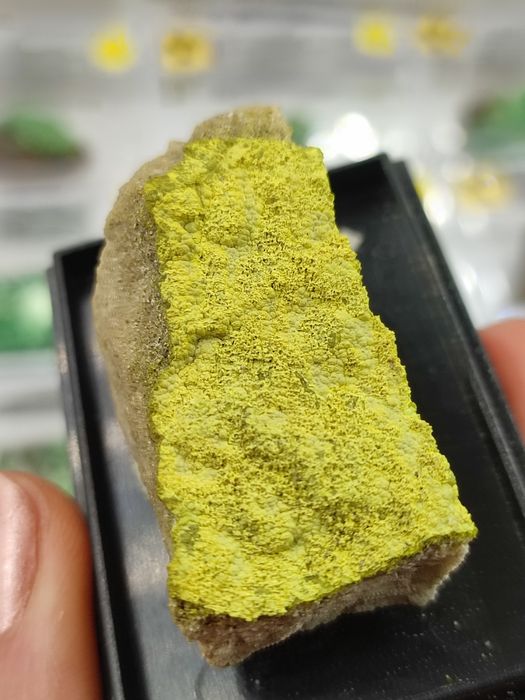 Minerał uranowy do kolekcji tyujamunit