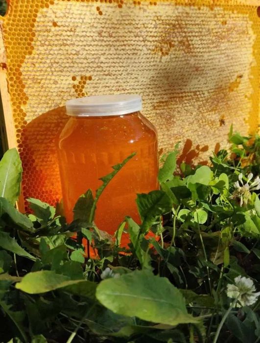 Натуральний квітковий мед