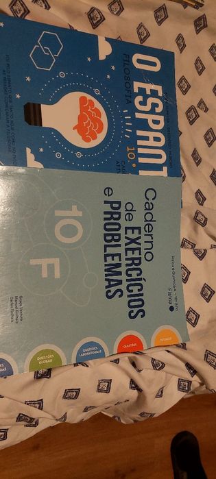 Livros escolares atividades 10.ano e 11.ano