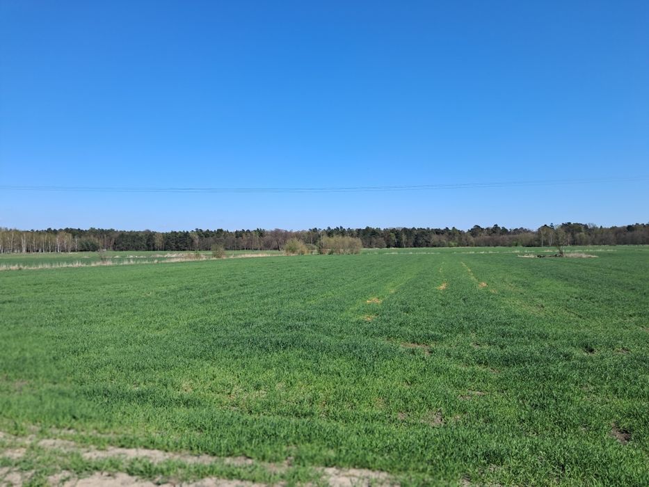 Działka rolna 2.57 h w jednym kawałku