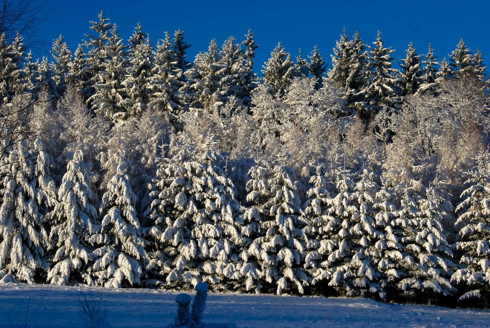 Ferie Karkonosze domek 8 osób sauna jacuzzi – Piaskowy Koń