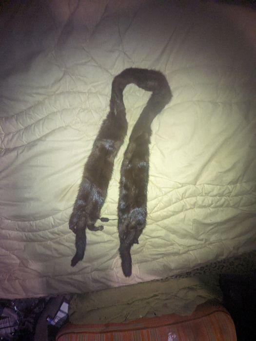 Воротник, либо пояс, с застежкой