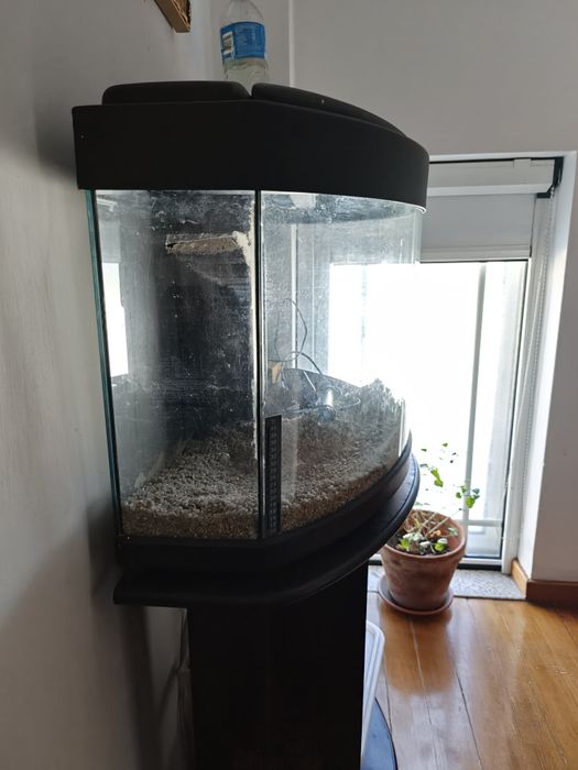 Aquario grande com móvel