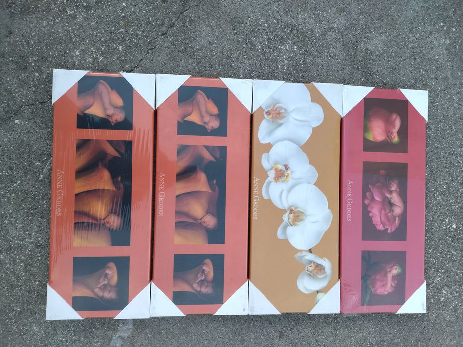 Conjunto de telas Anne Geddes