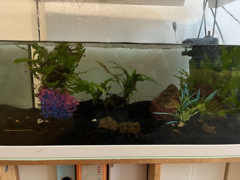 Aquário Juwel PrimoLux 60