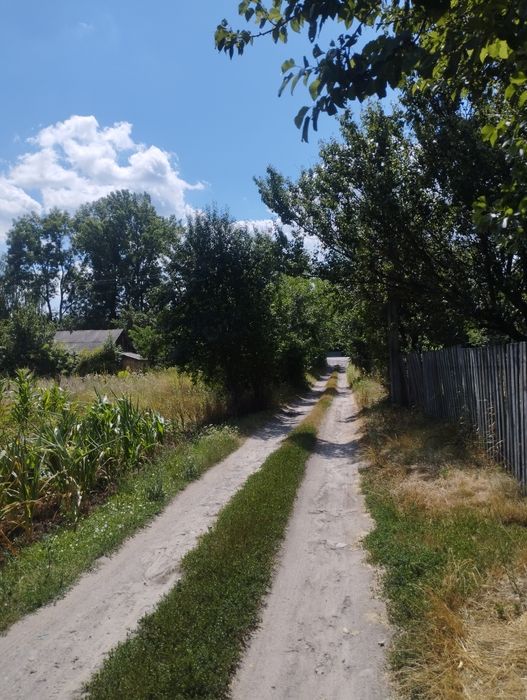 Продаж будинку с. Балаклея