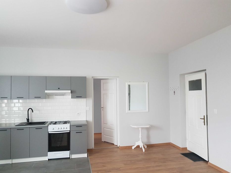 Mieszkanie do wynajęcia w Petrykozach