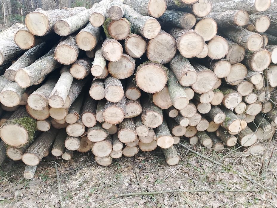 Kołki słupki debowe ogrodzenia budowlane, huśtawka