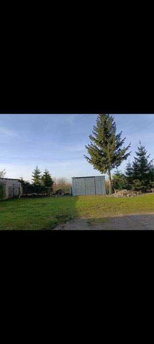Dom w zabudowie zagrodowej z ziemia rolna i las