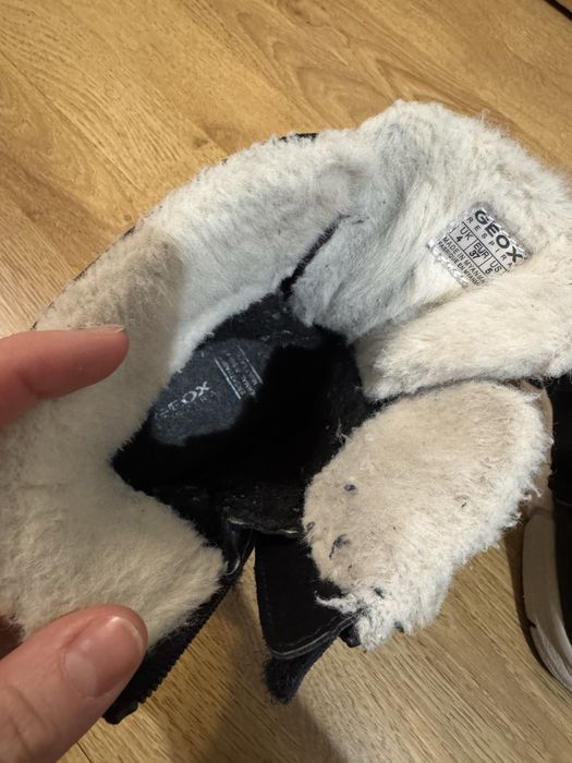 Чоботи/черевики зимові Geox 37