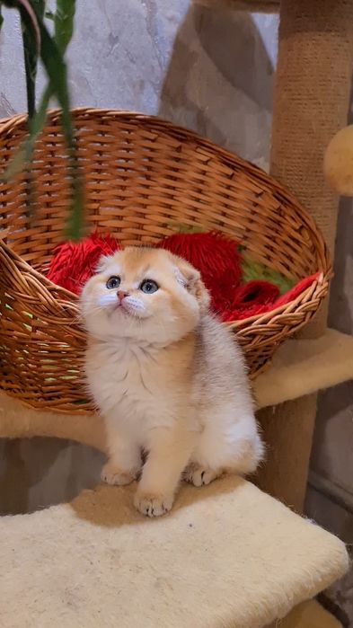 Самый ласковый и нежный малыш