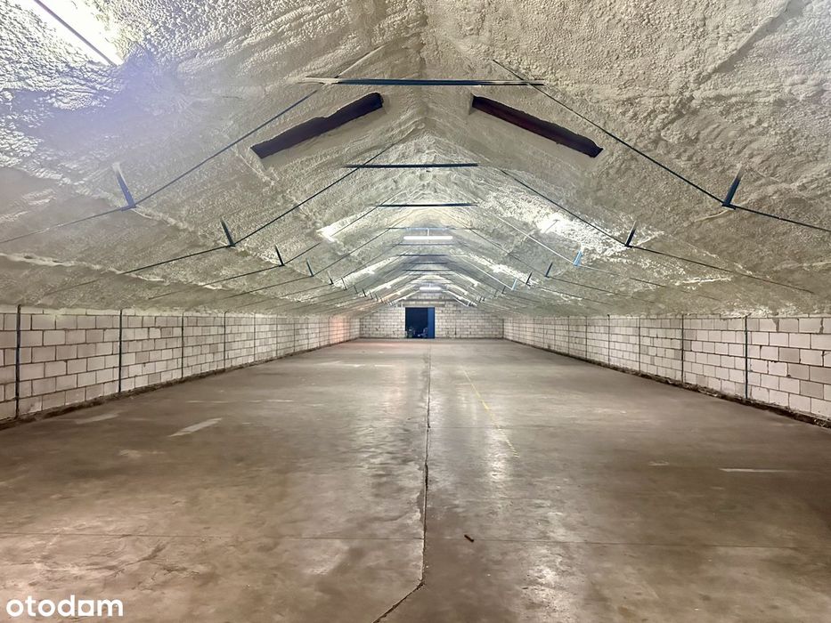 Do wynajęcia magazyn ocieplany 600m² - możliwość pomieszczeń biurowych