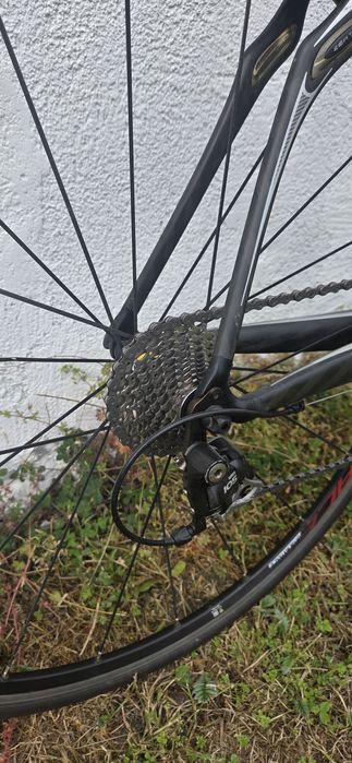 Rower Specialized roubaix