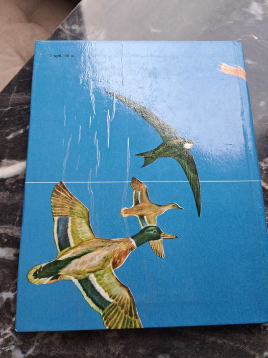 Птахи України Польовий визначник 1984