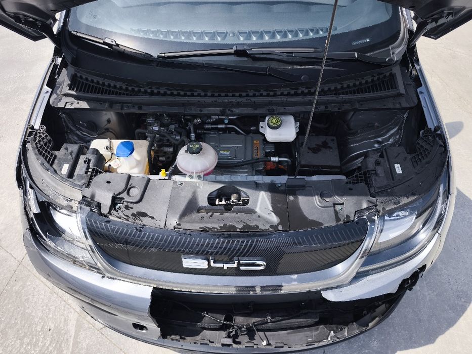 BYD dolphin 100% eléctrico