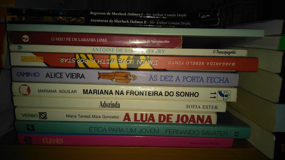 Livros variados, infantis, literatura portuguesa e internacional
