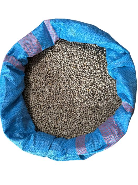 Łubin słodki - materiał paszowy 1kg