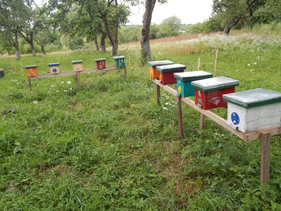 Нуклеус. Вулик. для виведення бджолиних маток.