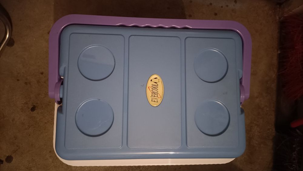 Arca frigorífico Evercool