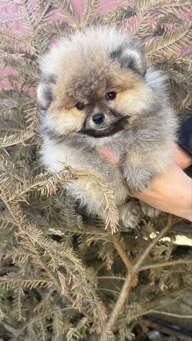 Мішка малюк чекає на вас