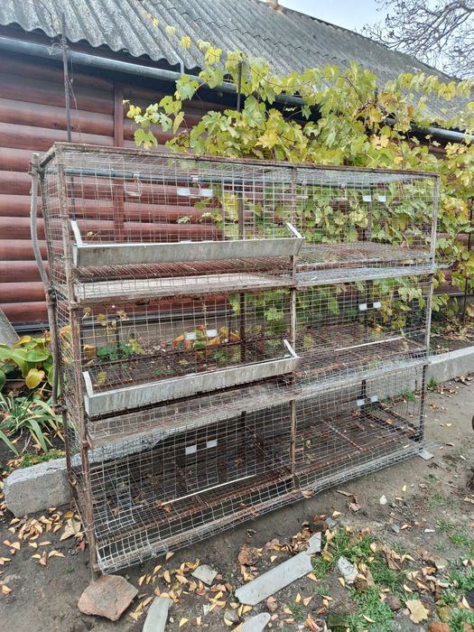 Продам клетку для курнесушек