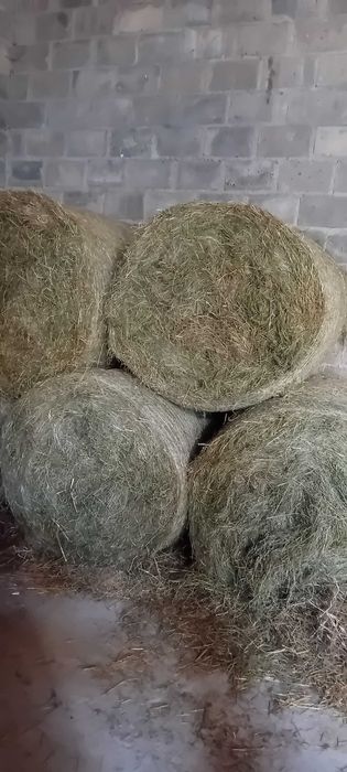 Sprzedam siano .