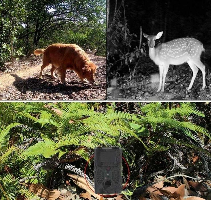 Câmara de caça Armadilha Envia MMS EMAIL C/ Visão noturna HC300 M64737819846786121