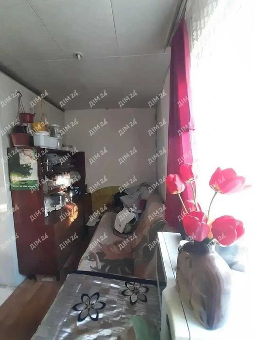 Власне подвір'я на Леваді