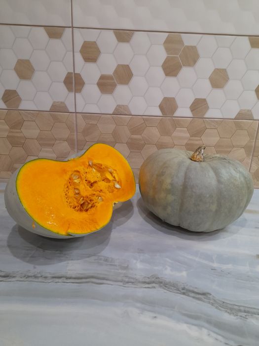 Домашні солодкі гарбузи мускатного типу