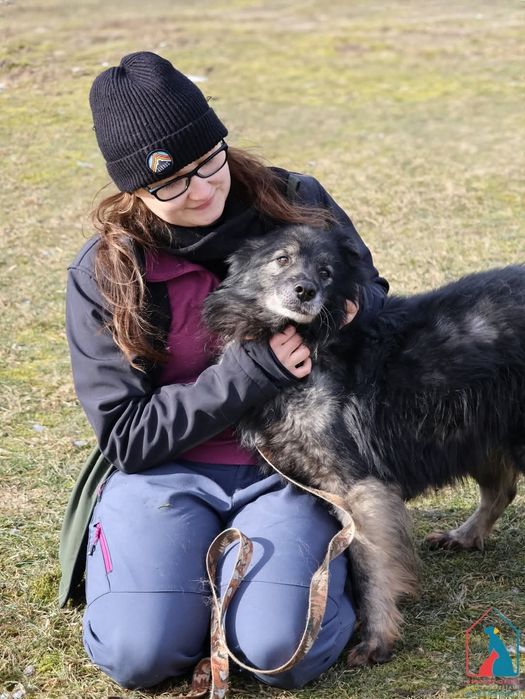 Figaro 435/24 - SZUKA DOMU!