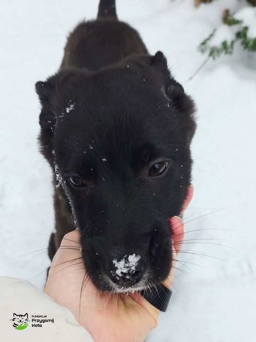 Maluszek szuka domku