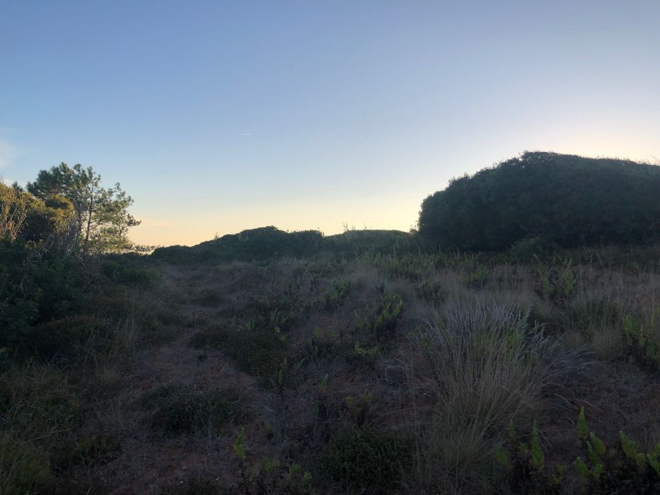 Vendo terreno com vista mar