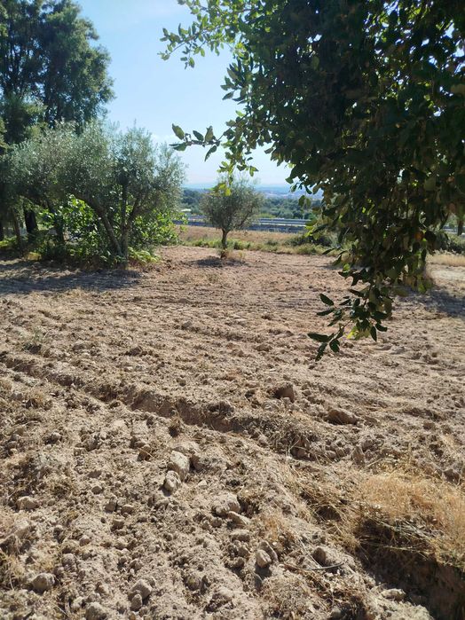 Horta agrícola em Alcains