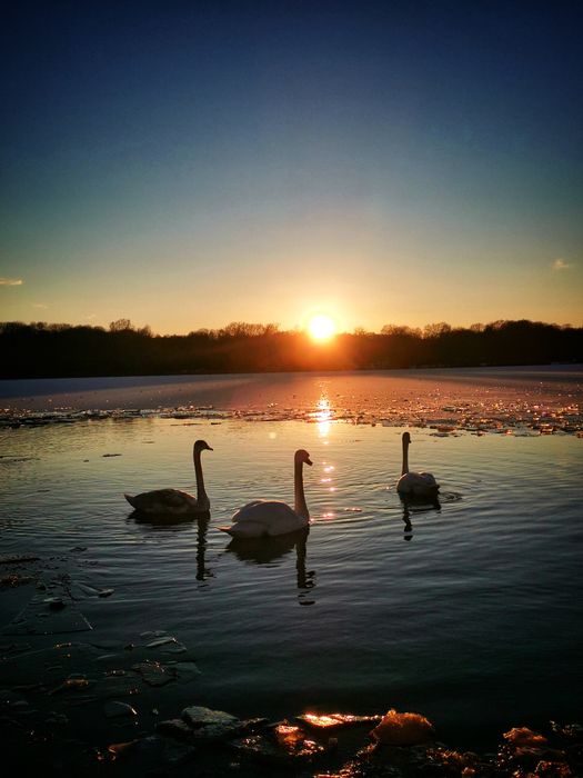 Nauka Angielskiego Stacjonarnie i Online