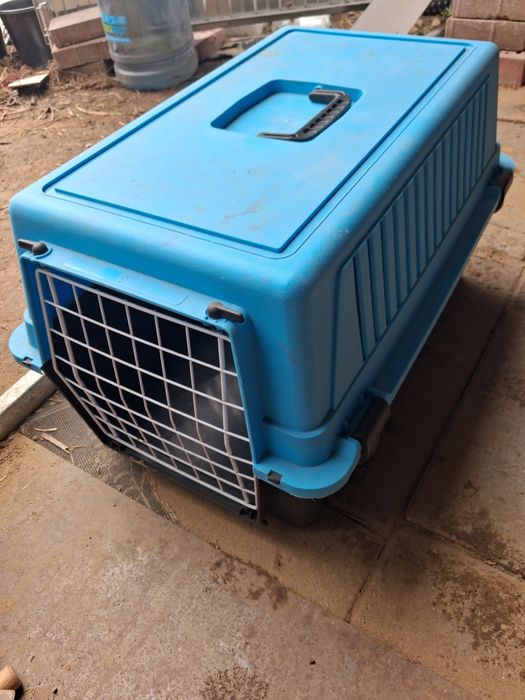 Transporter dla kota