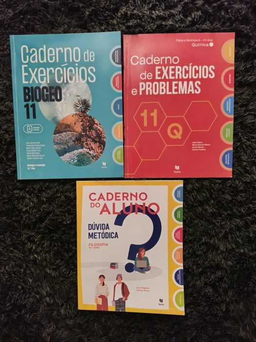 Manuais escolares  9o 10o e 11o ano