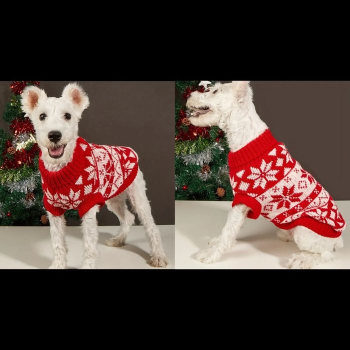 Camisola para cao ou gato - Azevinho Natal (novas)