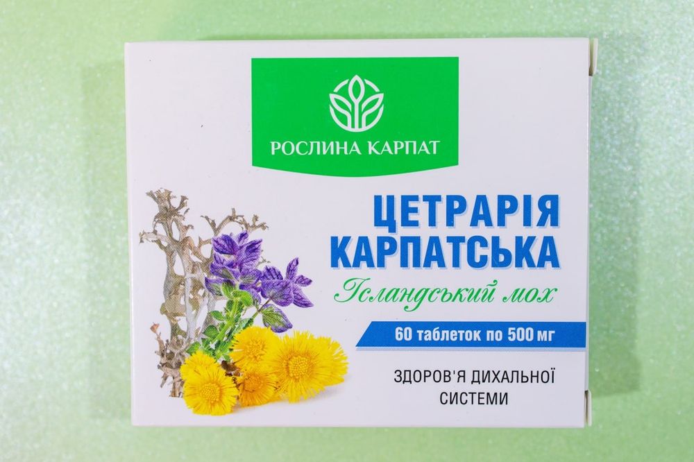 Цетрарія Карпатська від рослини карпат