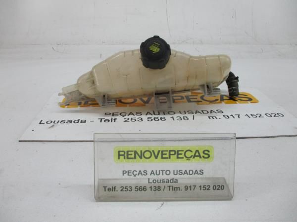 Vaso Expansao / Radiador RENAULT Clio III (BR0/1, CR0/1)