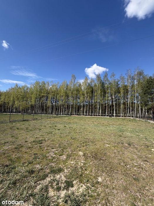 Działka budowlana 1026 m² - Puszcza Mariańska - MPZP - PGE w działce. - Widok 3