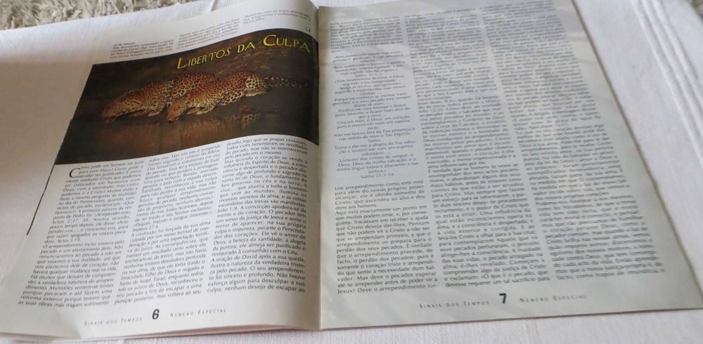 Revista Paz na Tempestade - Coleção Sinais do Tempo