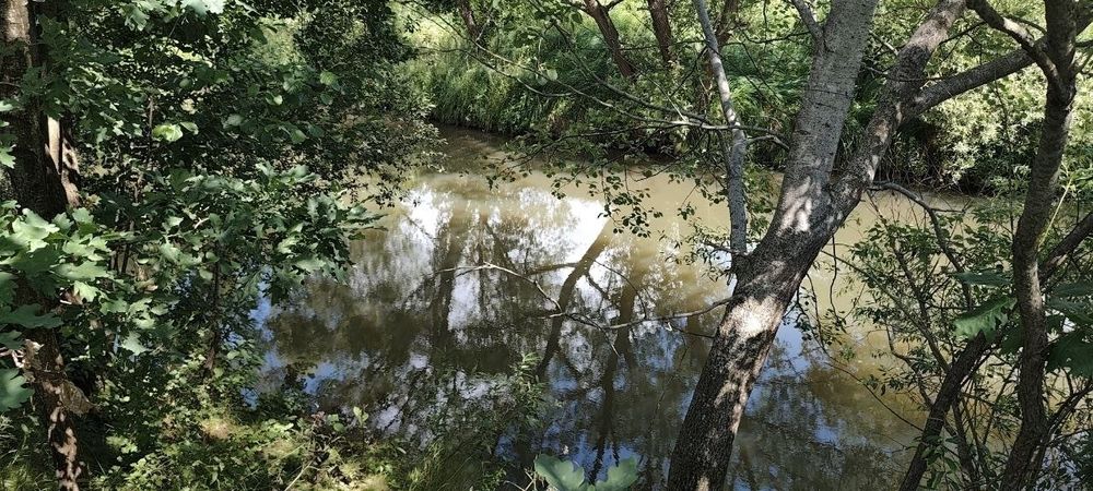 Земельна ділянка 1.4 га біля річки  у Негівцях