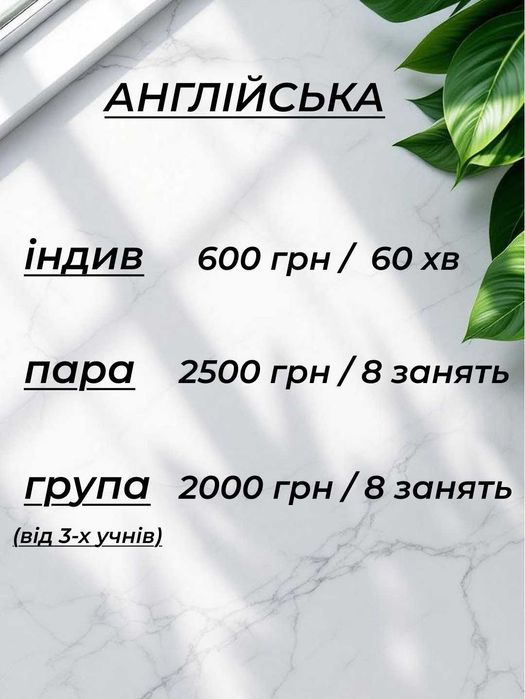 Репетитор, Англійська мова у Pink Llama Club