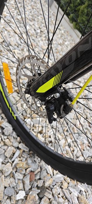 Rower MTB 24" Rayon Viper 2 ht