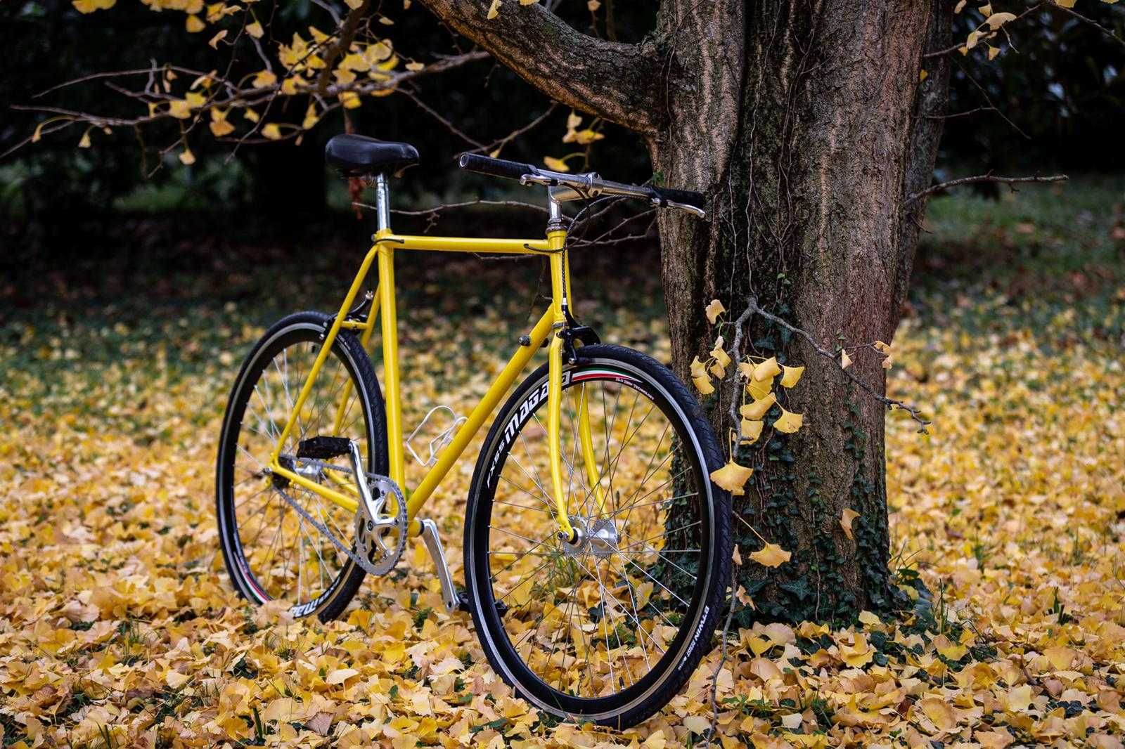 Olx fixed gear sale