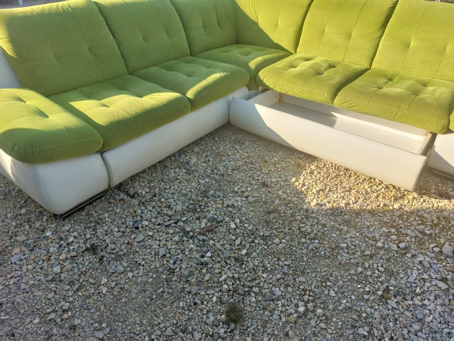 Rogowka duza  bialo zielona