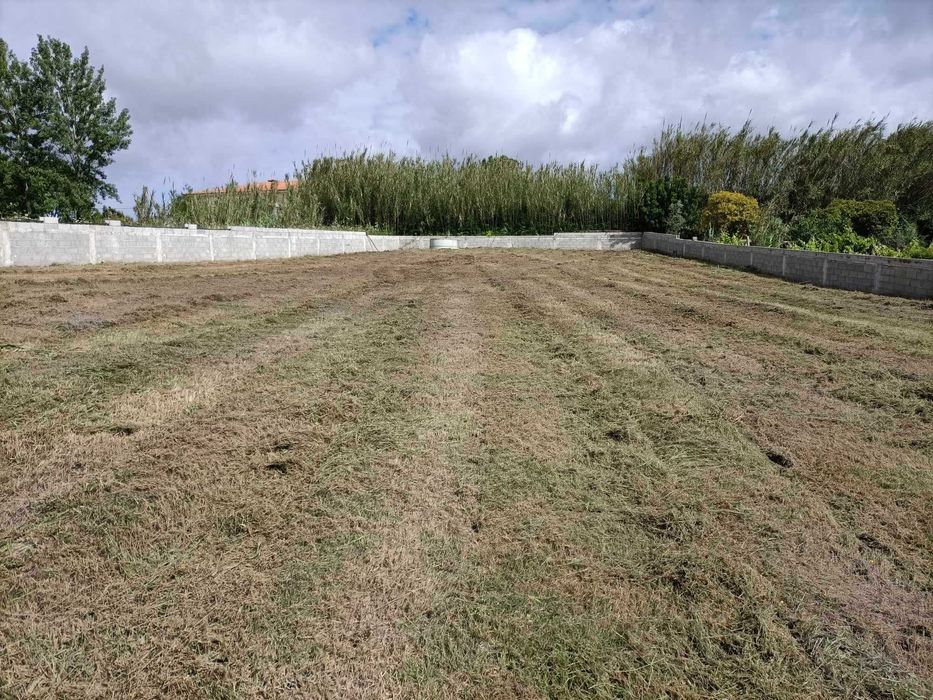 Terreno Exclusivo em Paço, Almagreira - 1980m² com Projeto Aprovado