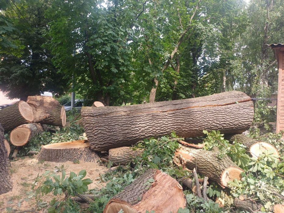 Видалення дерев,підрізання,благоустрій.