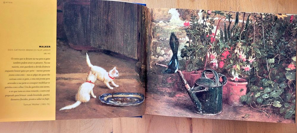 Gatos Selvagens e Felinos Mimados